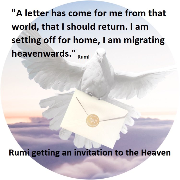 84611590 171490290935409 986688532036714496 n